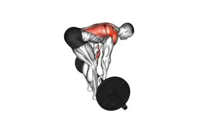 Barbell Bent Over Row