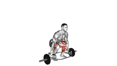 Trap Bar Deadlift