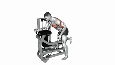 Single-Arm Lever Row