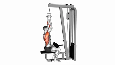 V-Bar Lat Pulldown