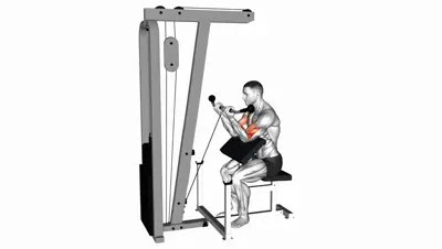 Cable Preacher Curl