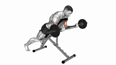 EZ Bar Spider Curl