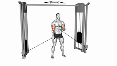 Cable Cross-Body Hammer Curl