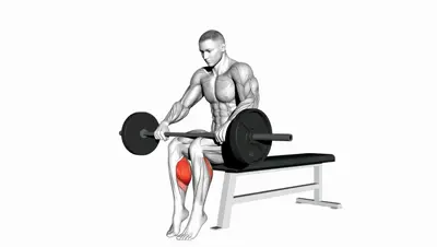 Barbell Seated Calf Raise