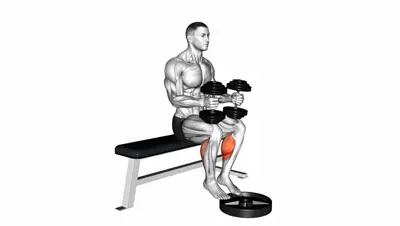 Dumbbell Seated Calf Raise