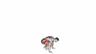 Burpee