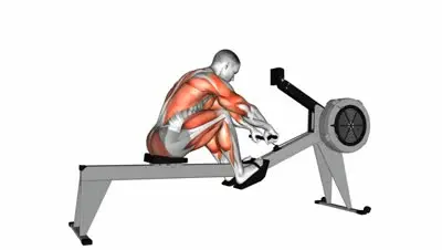 Rowing Machine