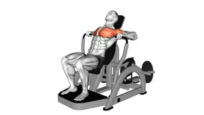 Decline Chest Press