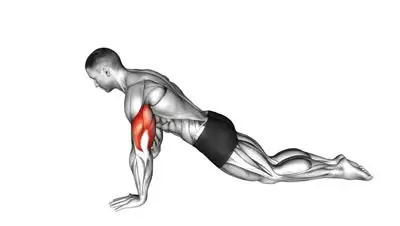 Kneeling Push-Up