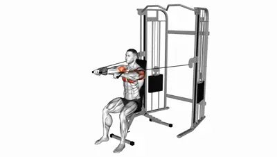Cable Seated Chest Press