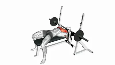 Guillotine Press