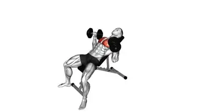 Dumbbell Incline Bench Press