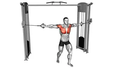 Cable Chest Fly