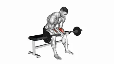 EZ Bar Wrist Curl