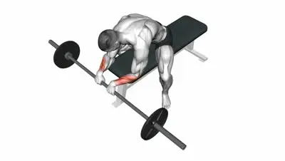 Barbell Reverse Wrist Curl