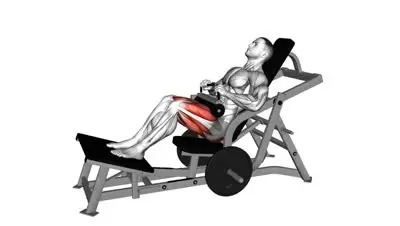 Machine Hip Thrust