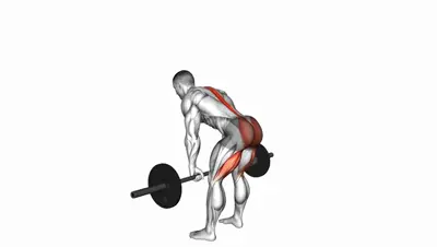 Barbell Romanian Deadlift
