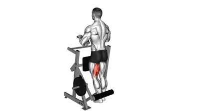 Machine Standing Leg Curl