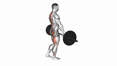 Barbell Single Leg Romanian Deadlift