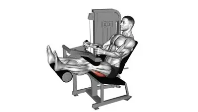 Seated Leg Curl