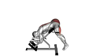 Reverse Hyperextension