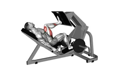 Single Leg Press