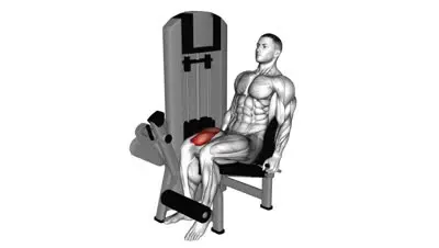 Single Leg Extension