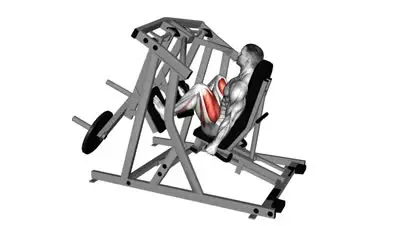 Leg Press
