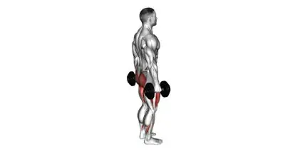 Dumbbell Lunges