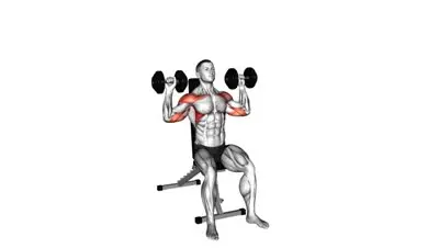 Seated Dumbbell Press