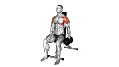 Seated Lateral Raise