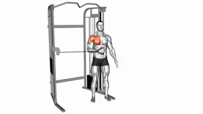 Cable Internal Rotation