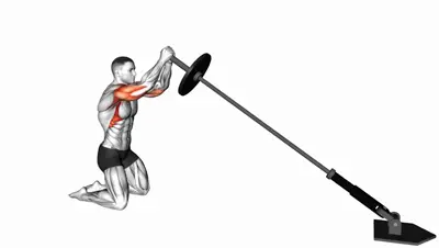 Single-Arm Landmine Press