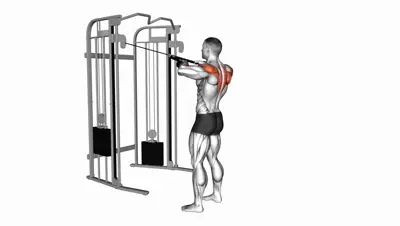 Cable Rope Rear Delt Row