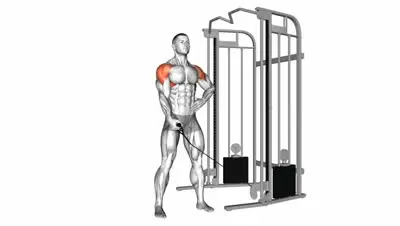 Cable Lateral Raise