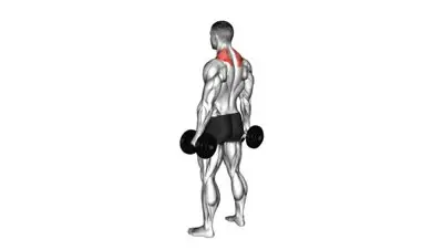 Dumbbell Shrugs