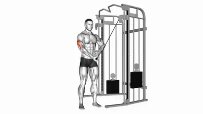 Single Arm Pushdown