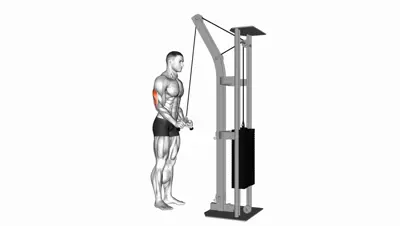 Cable V-Bar Pushdown