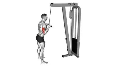 Triceps Pushdown