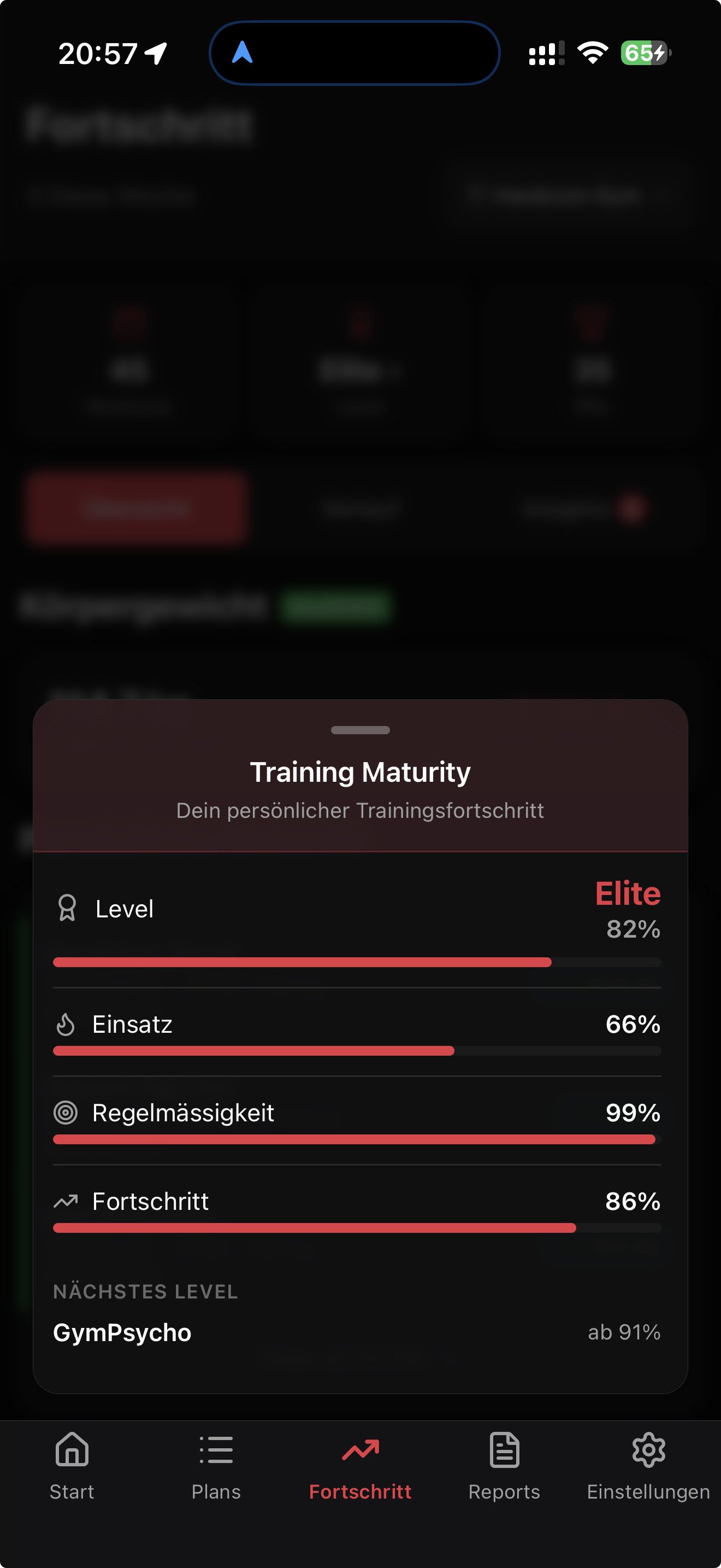 GymPsycho Training Maturity detail sheet showing Elite tier at 81%, three pillar progress bars for Effort, Consistency, and Progression with animated fill, next tier GymPsycho at 91%